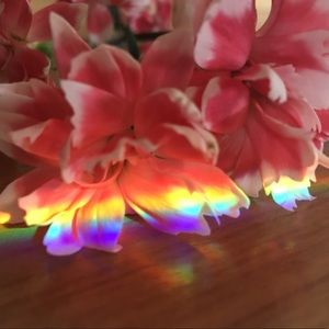 Meet your Posher, Fleur.